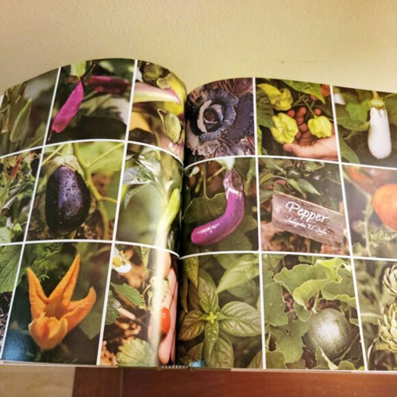 2 Michelle Obama Books 1st Ed Becoming American Grown Kitchen Grown First Lady - Picture 11 of 15